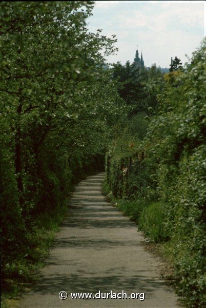 Fussweg bei der Augustenburg, ca. 1981