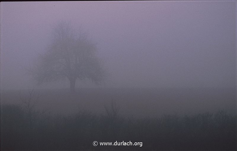 1980 - die Hub im Nebel
