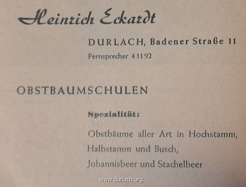 Heinrich Eckardt Obstbaumschulen 1955