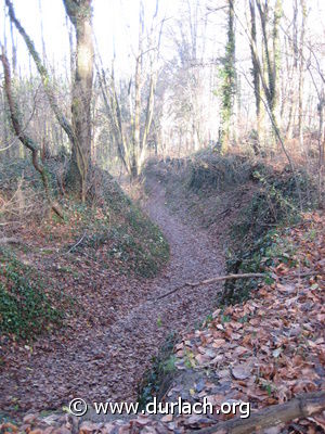 Turmberg Hohlweg