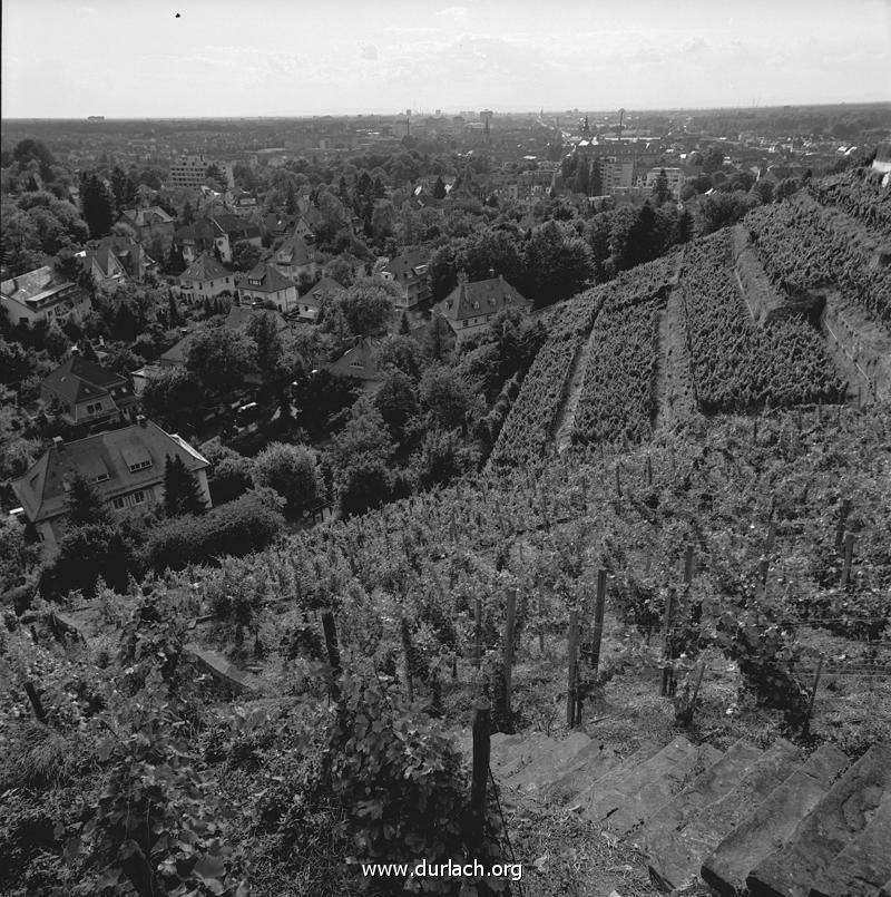 ca. 1980 - Blick über den Weinberg auf Durlach
