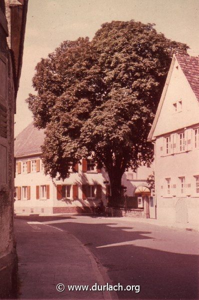 1964 - Bienleinstorstrae