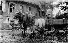 Pferdegespann ca 1900